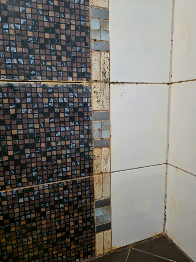 WhiteRoom Home Services SRL  - Expertica